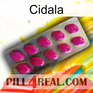 Cidala 09